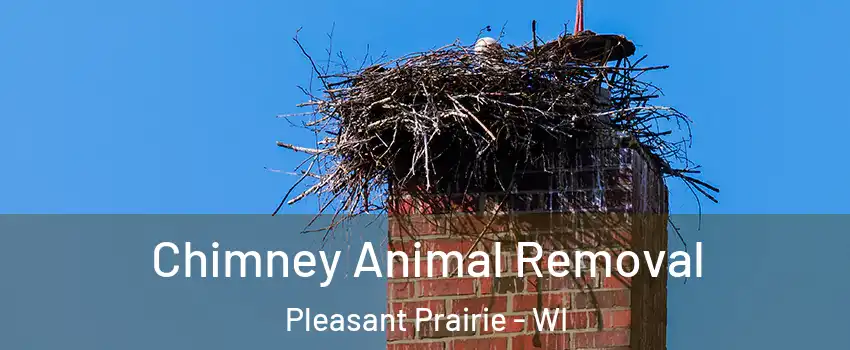  Chimney Animal Removal Pleasant Prairie - WI