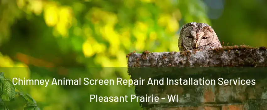  Chimney Animal Screen Repair And Installation Services Pleasant Prairie - WI