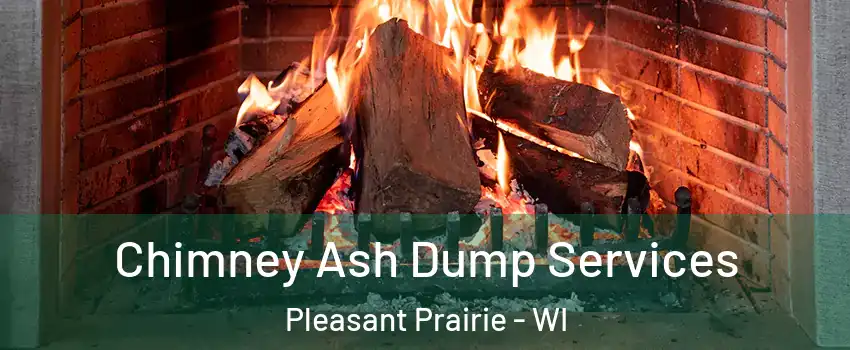  Chimney Ash Dump Services Pleasant Prairie - WI