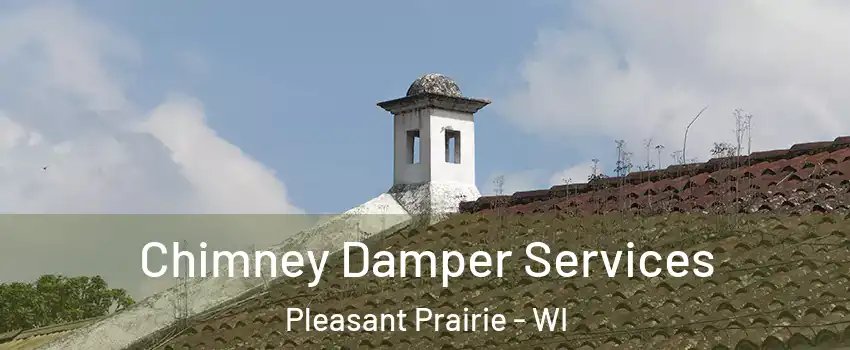  Chimney Damper Services Pleasant Prairie - WI
