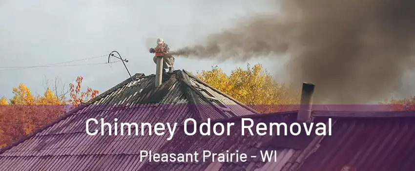  Chimney Odor Removal Pleasant Prairie - WI