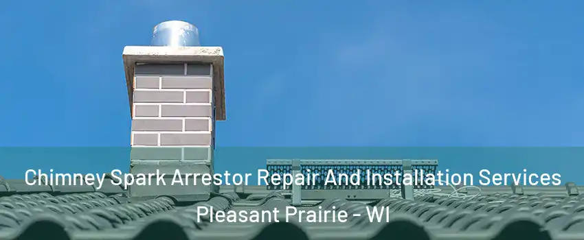  Chimney Spark Arrestor Repair And Installation Services Pleasant Prairie - WI