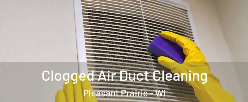  Clogged Air Duct Cleaning Pleasant Prairie - WI