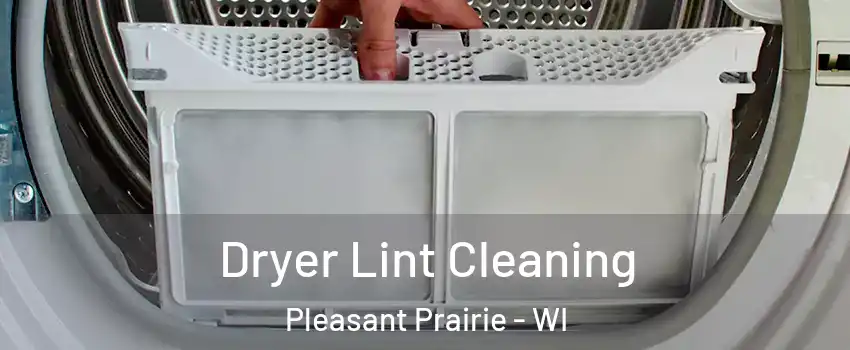  Dryer Lint Cleaning Pleasant Prairie - WI