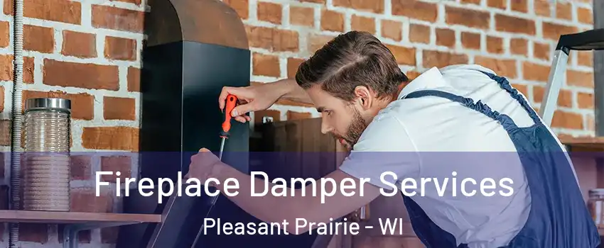  Fireplace Damper Services Pleasant Prairie - WI