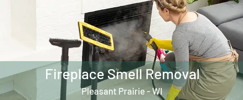  Fireplace Smell Removal Pleasant Prairie - WI