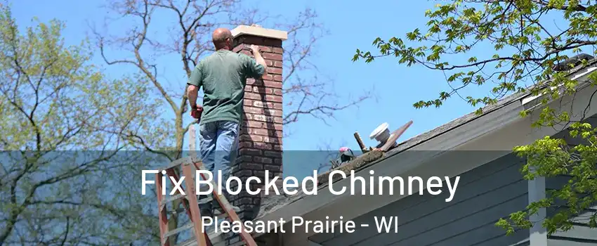  Fix Blocked Chimney Pleasant Prairie - WI