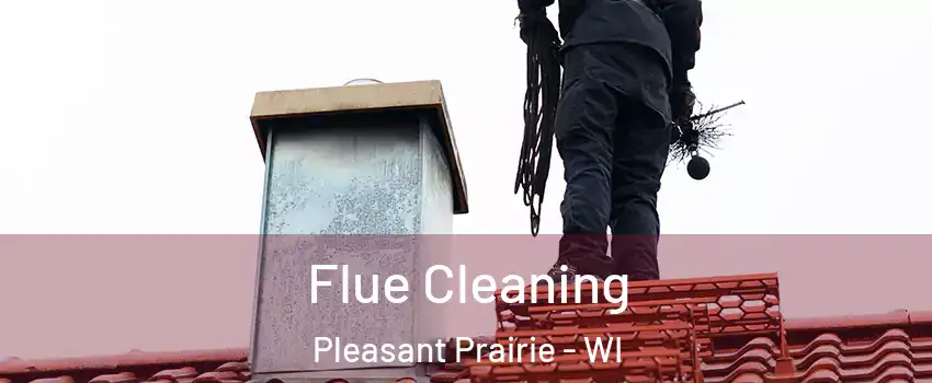  Flue Cleaning Pleasant Prairie - WI