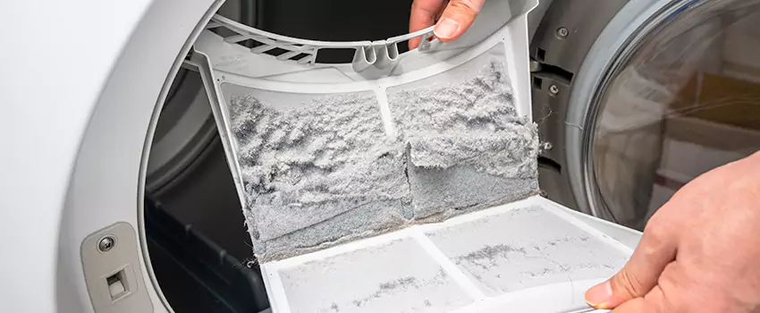 Best Dryer Lint Removal Company in Pleasant Prairie, Wisconsin