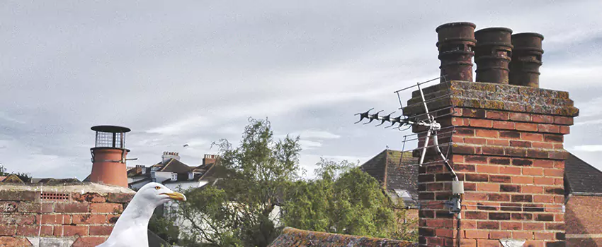 Chimney Cleaning And Restoration in Pleasant Prairie, Wisconsin