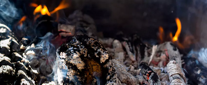 Creosote Removal Experts in Pleasant Prairie, WI