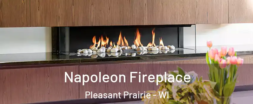  Napoleon Fireplace Pleasant Prairie - WI