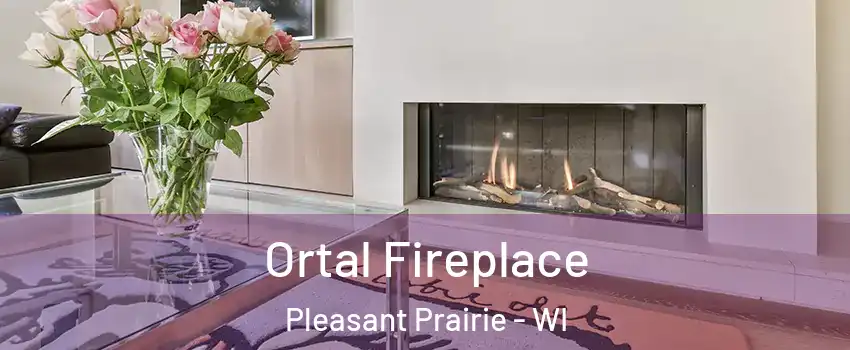  Ortal Fireplace Pleasant Prairie - WI